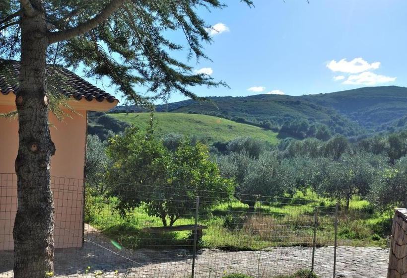 Пансион Schifoni House