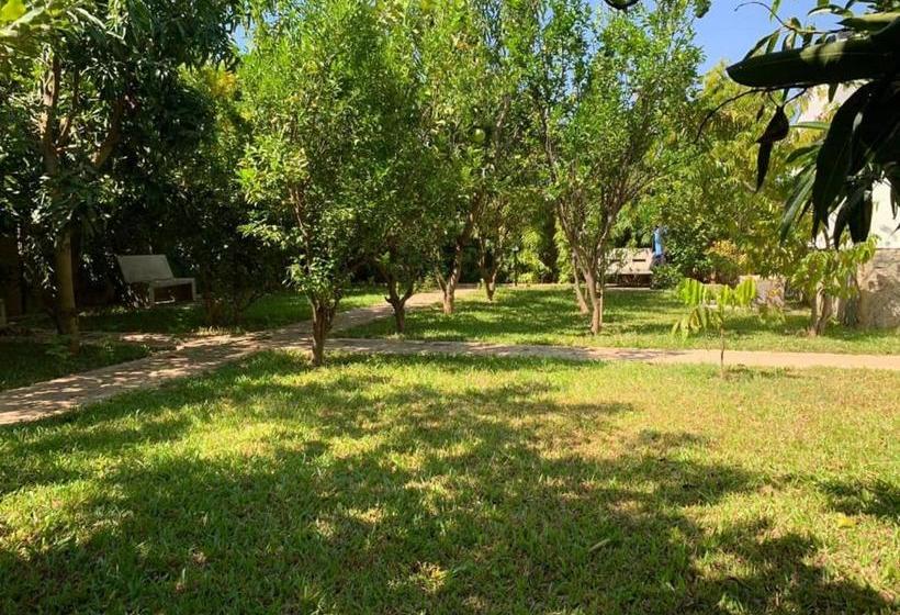 هتل Nordhaus Suites Garden And Tours