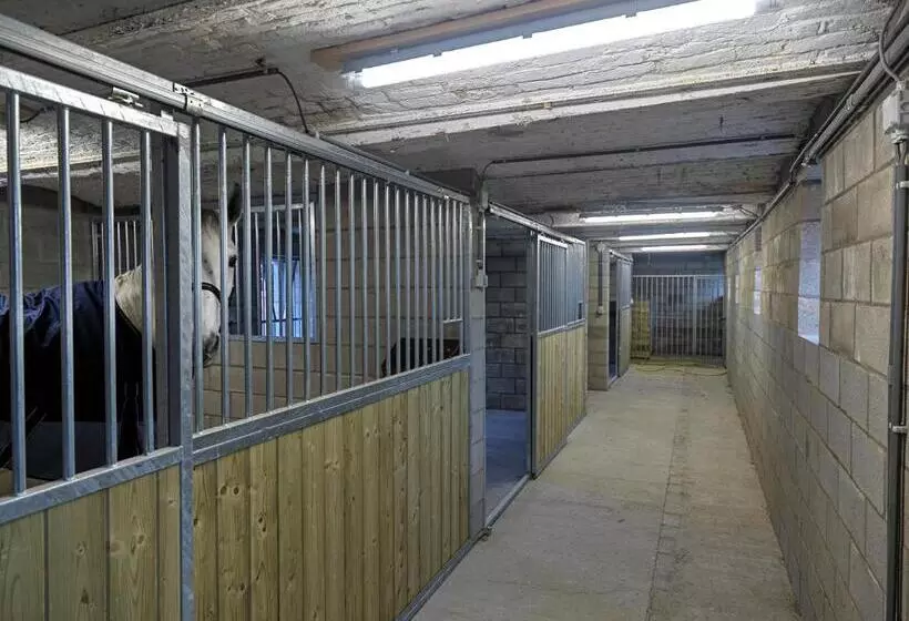 B&b Hoeve De Brieser