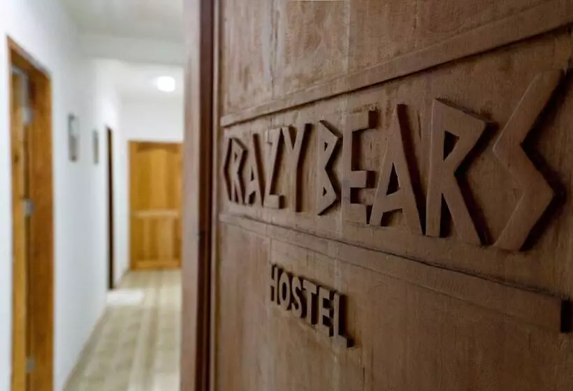 Crazy Bears Hostel