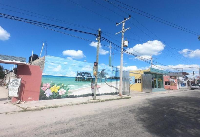 Otel Escalante