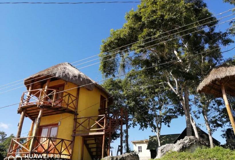 Pansiyon Coa De Collar