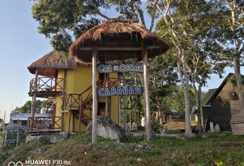 Pansiyon Coa De Collar