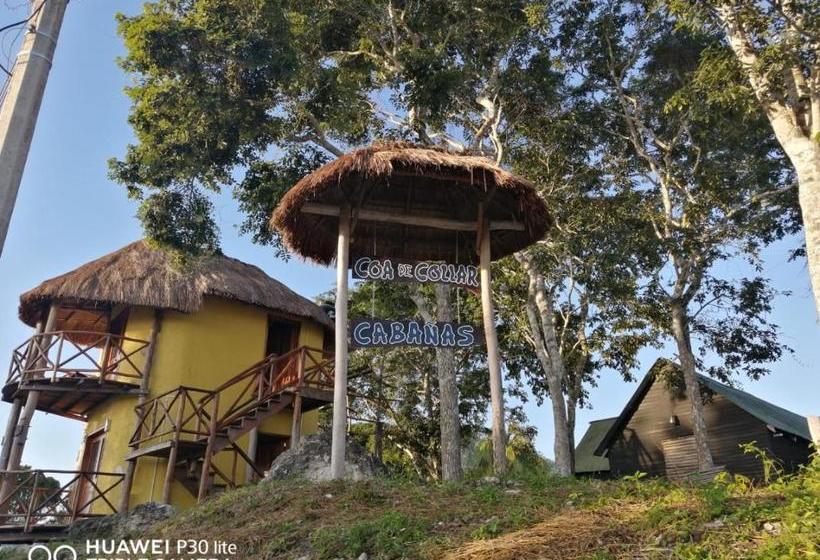 Pansiyon Coa De Collar