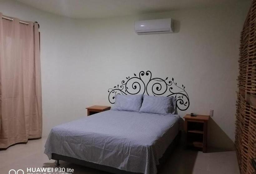 Pansiyon Coa De Collar