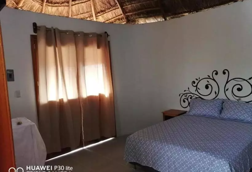 Majatalo Coa De Collar