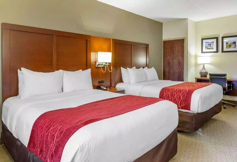 هتل Comfort Inn Lancaster At Rockvale