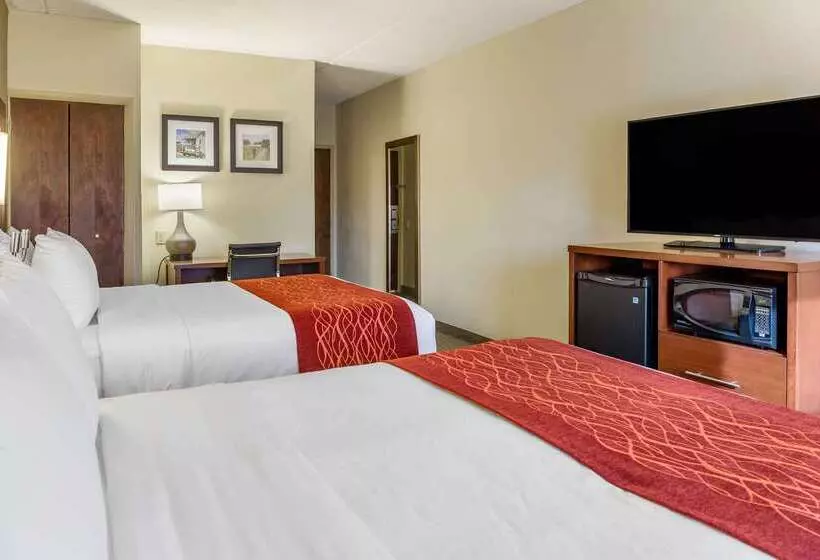 هتل Comfort Inn Lancaster At Rockvale