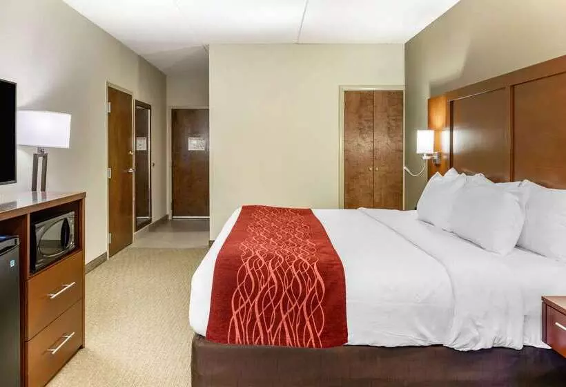 هتل Comfort Inn Lancaster At Rockvale