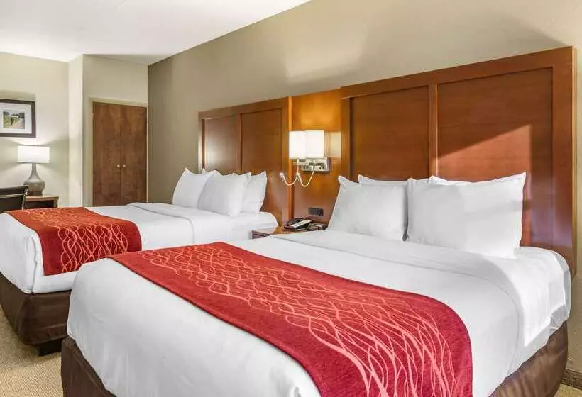 هتل Comfort Inn Lancaster At Rockvale