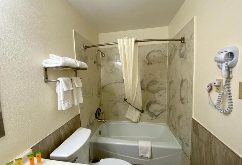 فندق Roswell Inn