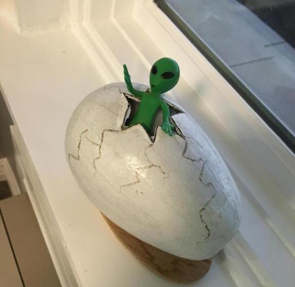 فندق Roswell Inn