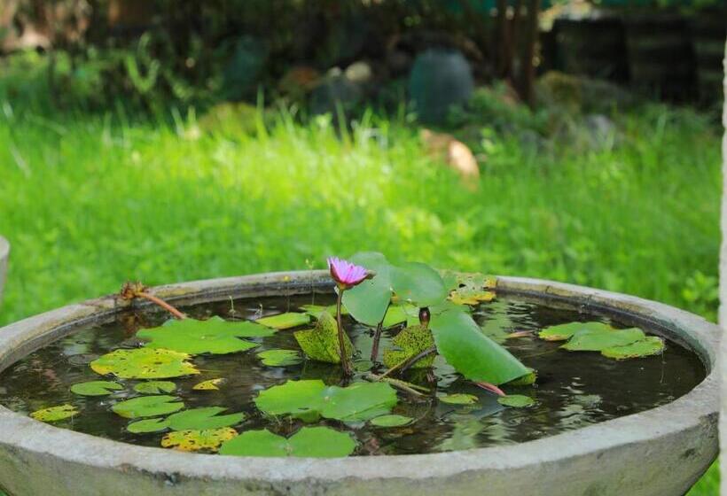 הוסטל Ruwan Villa Ahangama