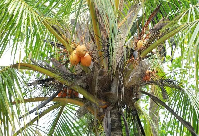 Retkeilymaja Ruwan Villa Ahangama