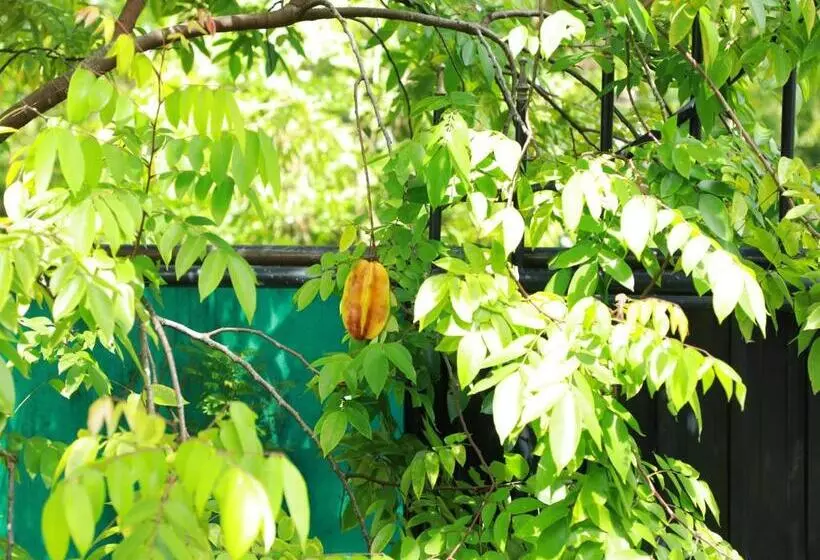 Retkeilymaja Ruwan Villa Ahangama