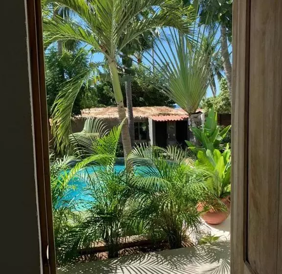 هاستل Valhalla Beach House