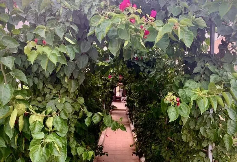 B&b Don Alessandro