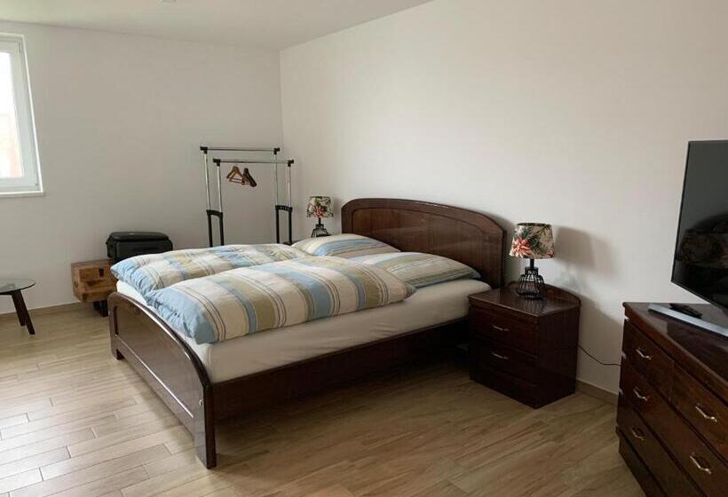 بنسيون Gästehaus Residenz Aurora