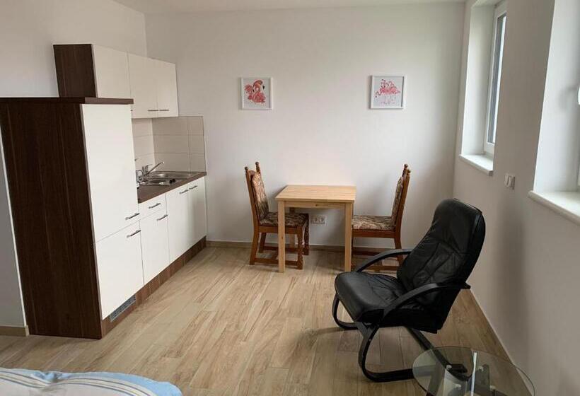 بنسيون Gästehaus Residenz Aurora