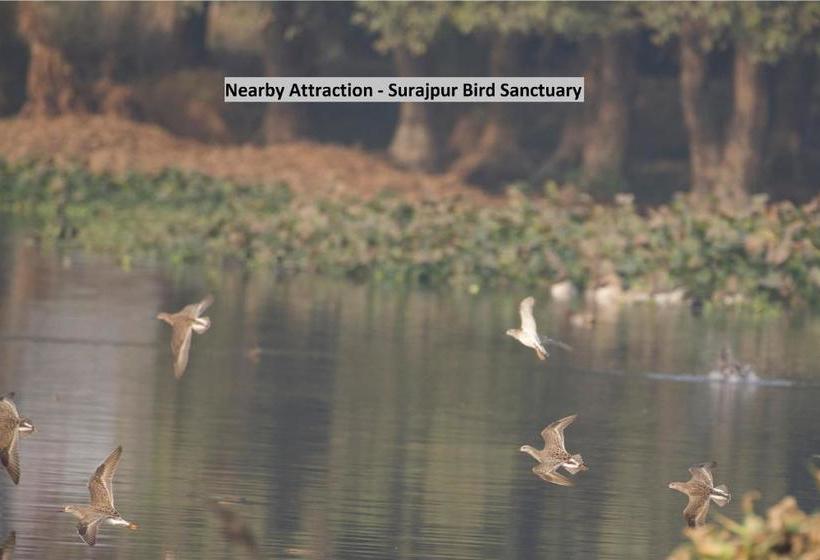 בית מלון כפרי Spot On 39428 Diamond Swift