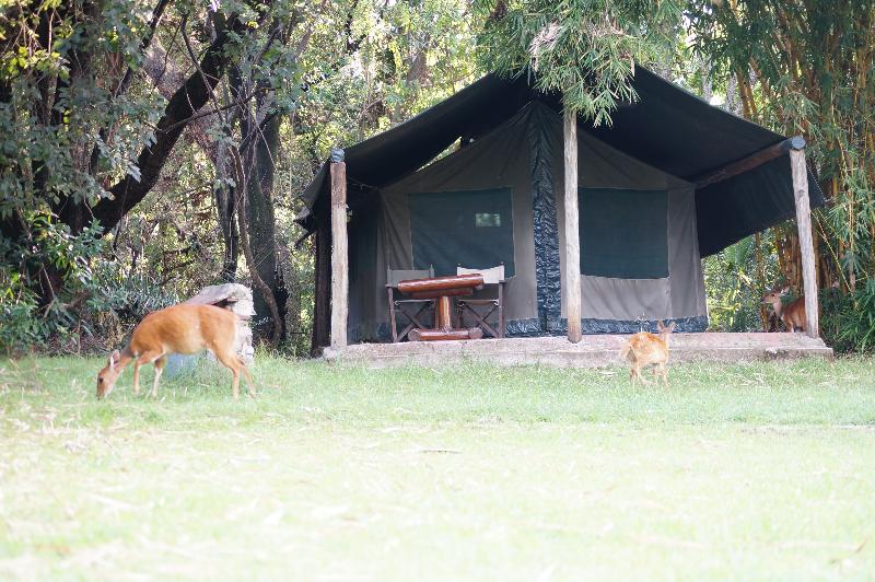 Siana Springs Tented Camp