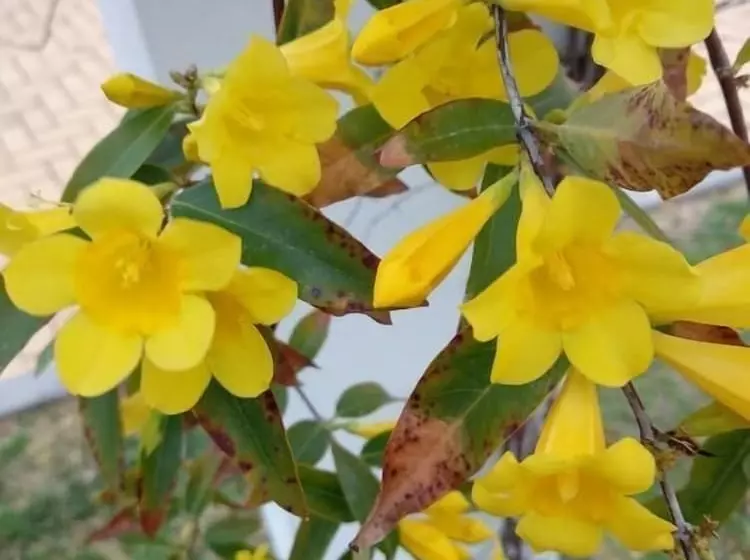Playa Macenas   Near Playa Macenas
