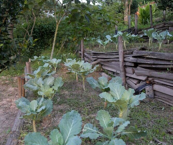 Пансион Chácara Kumbaya