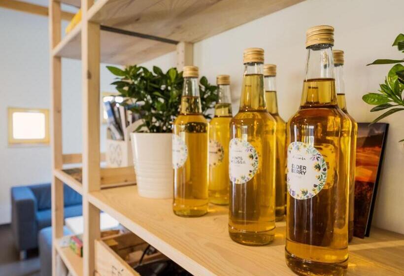 Hostel Zahrada Mikulov