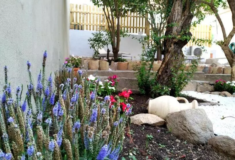 پانسیون S'arenada