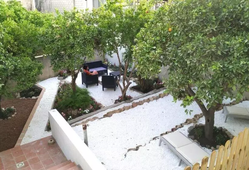 پانسیون S'arenada