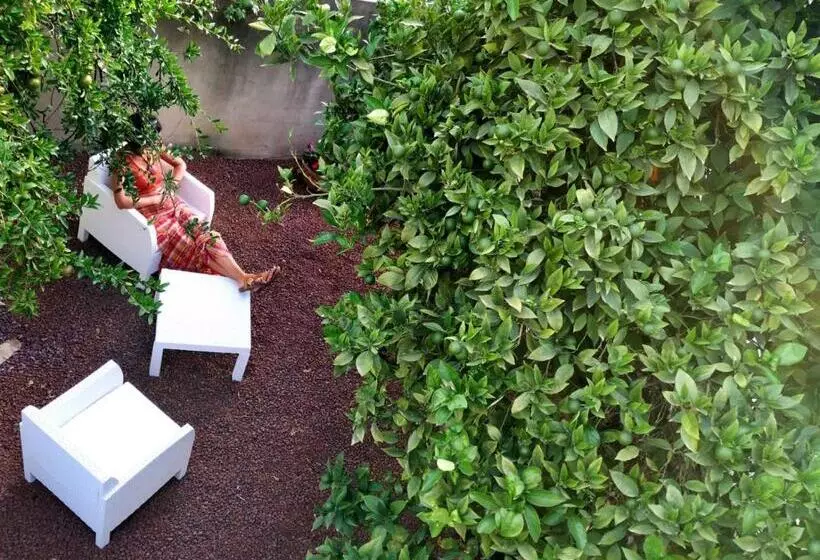 پانسیون S'arenada