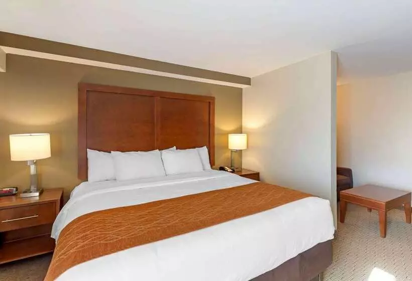 ホテル Comfort Inn Kennesaw