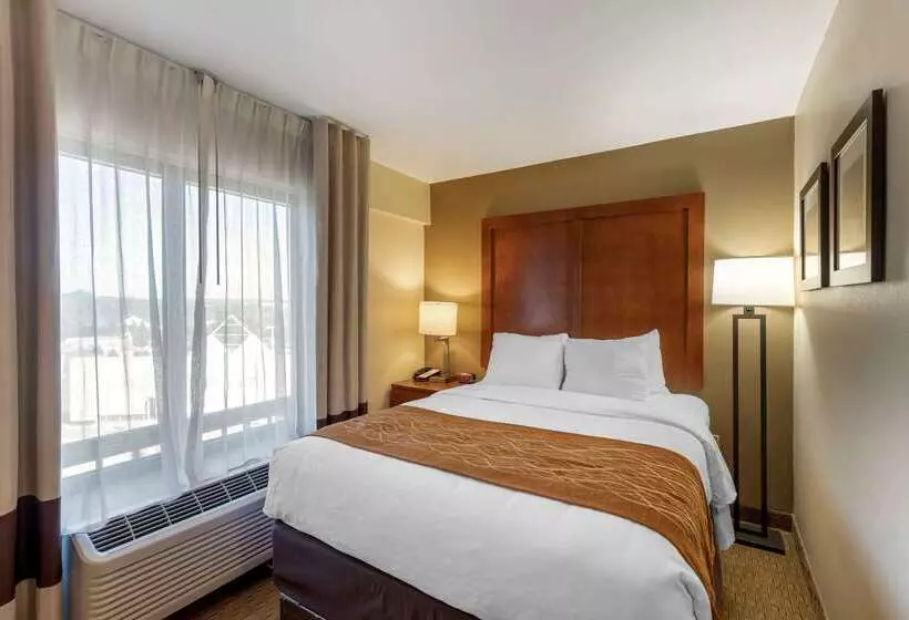 ホテル Comfort Inn Kennesaw