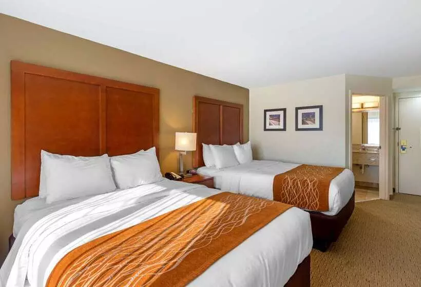 ホテル Comfort Inn Kennesaw