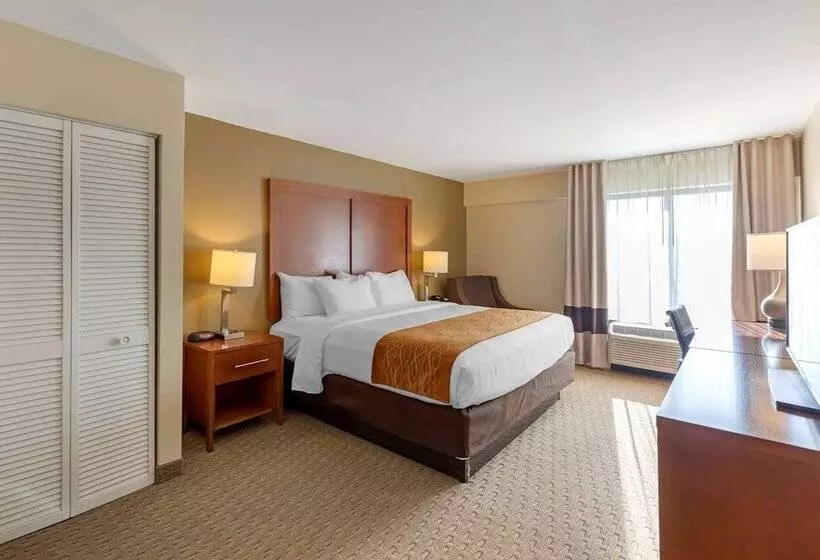 ホテル Comfort Inn Kennesaw