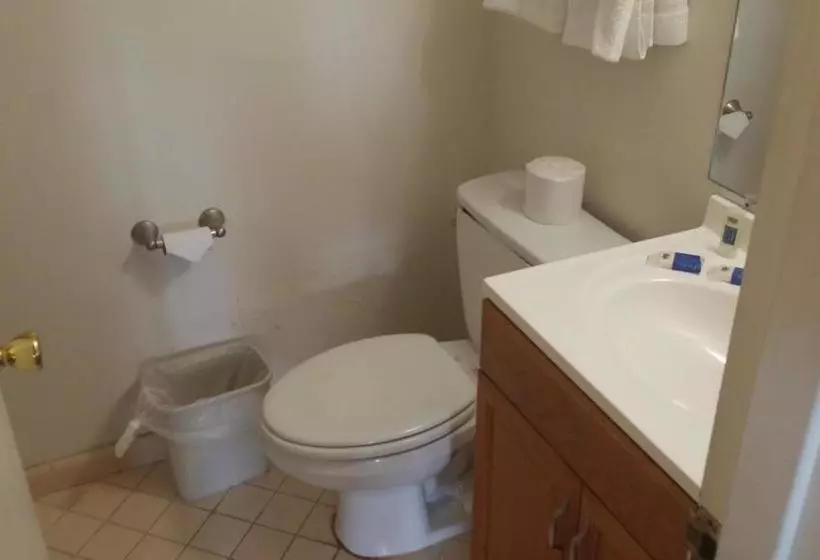 ホテル Lake Wire Inn