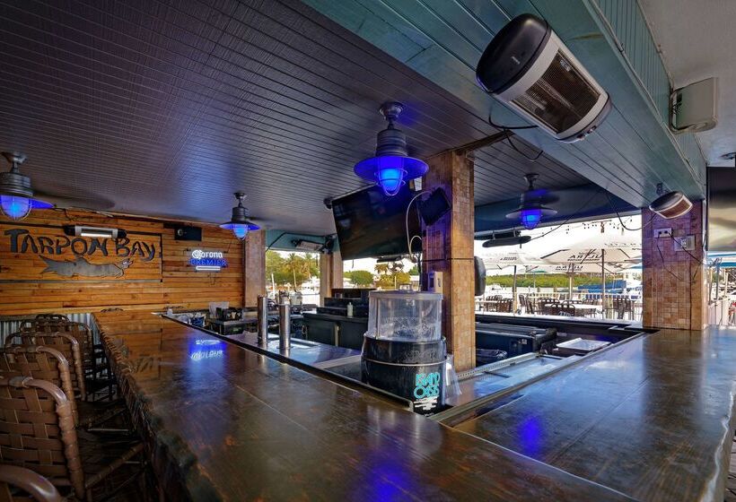 בית מלון כפרי Ramada By Wyndham Sarasota Waterfront