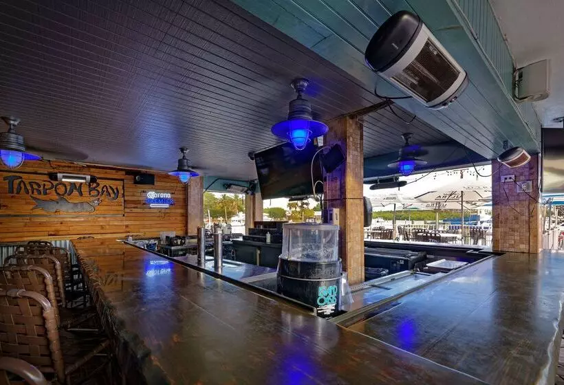 فندق Ramada By Wyndham Sarasota Waterfront