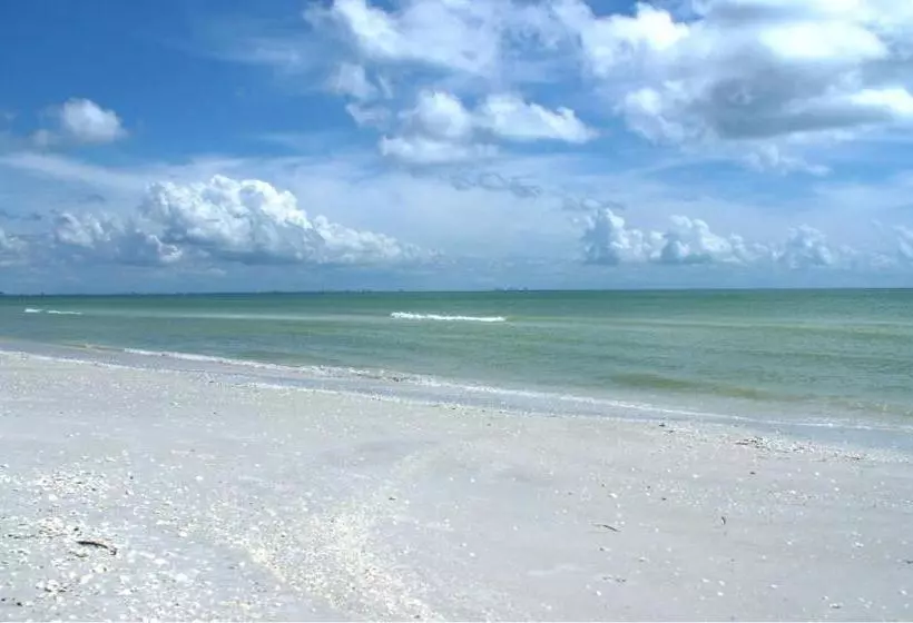 Shell Island Beach Club #7b