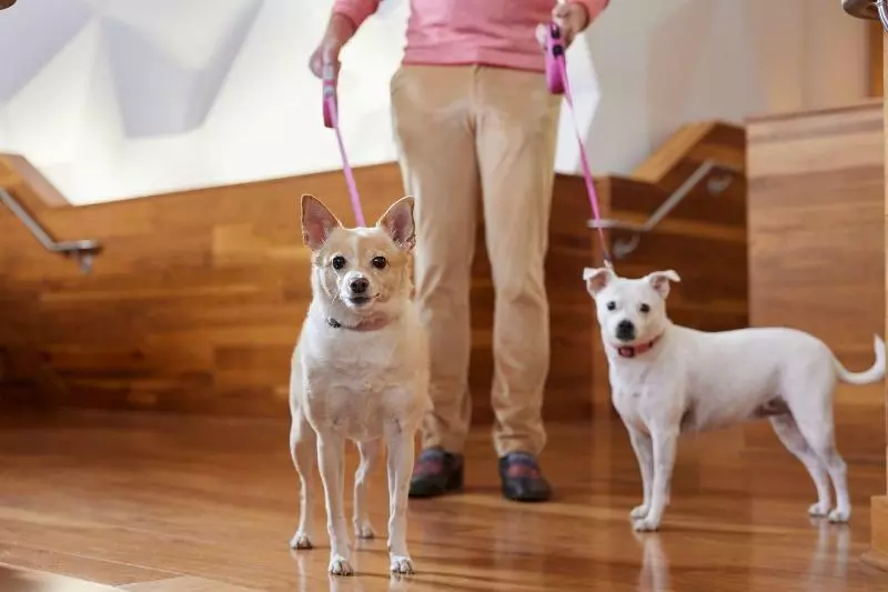 ホテル Sheraton Grand Nashville Downtown