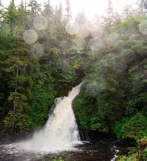 Salmon Falls Resort