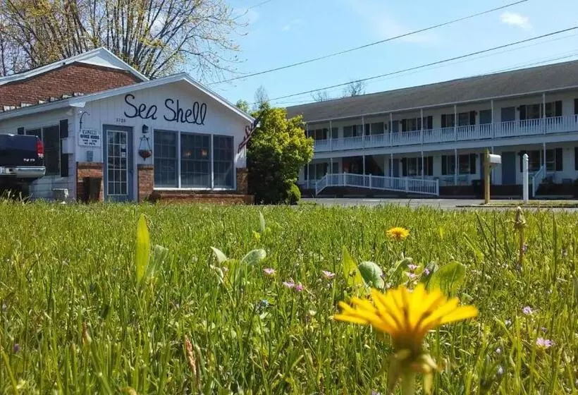 Sea Shell Motel
