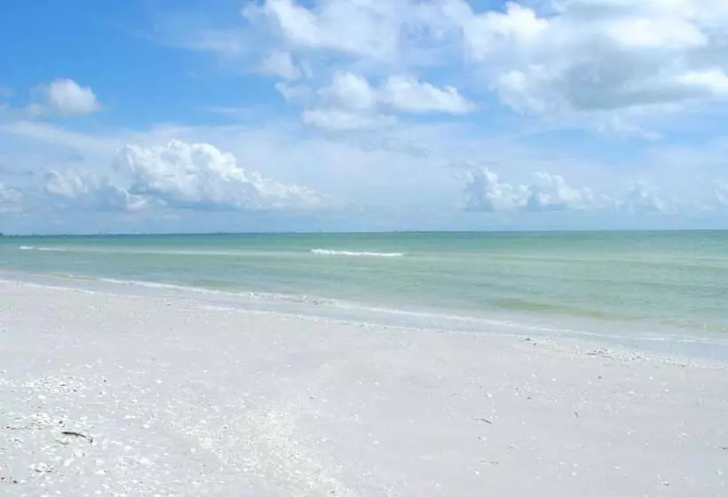 Shell Island Beach Club #7b