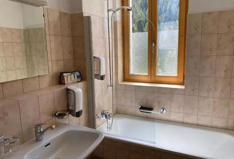 ユースホステル Gasthaus Edelweiss