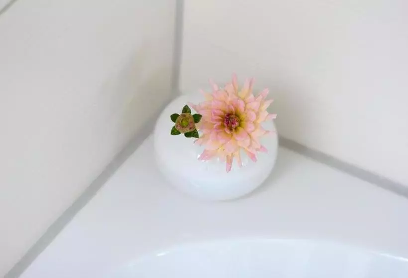 ペンション Ringelnatz & Lichtwer Ferienwohnung Wurzen