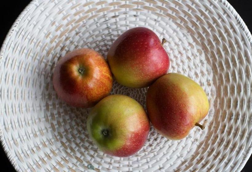 ペンション Ringelnatz & Lichtwer Ferienwohnung Wurzen