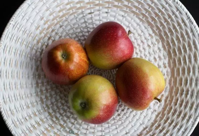 ペンション Ringelnatz & Lichtwer Ferienwohnung Wurzen