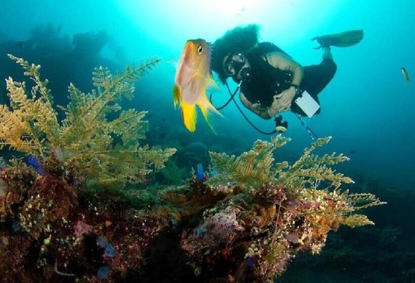 فندق Crystal Ocean View Tulamben