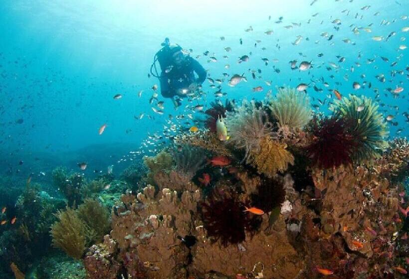 فندق Crystal Ocean View Tulamben