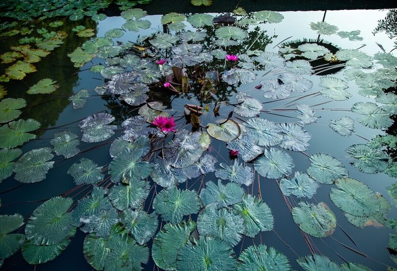 هتل Ninh Binh Valle Montana Homestay